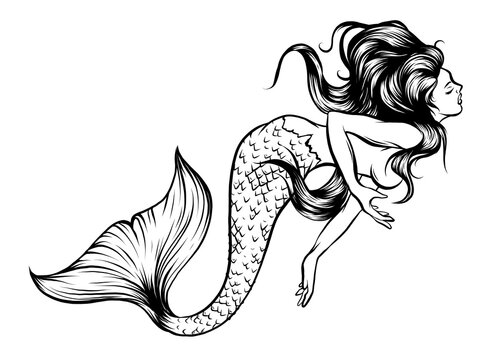mermaid watercolor vector silhouette illustration graphic art