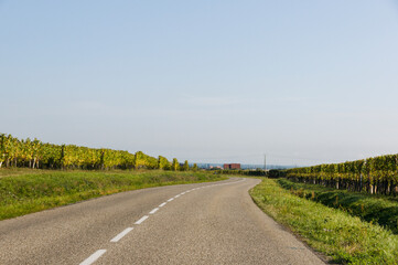 Riquewihr, Weinstrasse, Weinberge, historische H&auml;user, Elsass, Weinproduzenten, Herbst, Grand Est, Vogesen, Frankreich