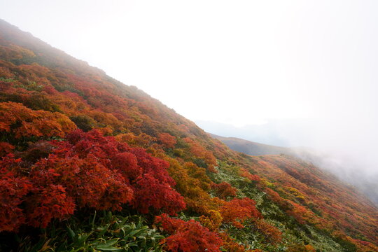Scenery of Mt. Kurikoma in Japan with beautiful autumn colors