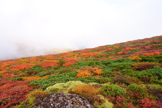 Scenery of Mt. Kurikoma in Japan with beautiful autumn colors