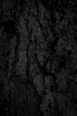 Black tree bark background Natural beautiful old tree bark texture According to the age of the tree with beautiful bark during the summer