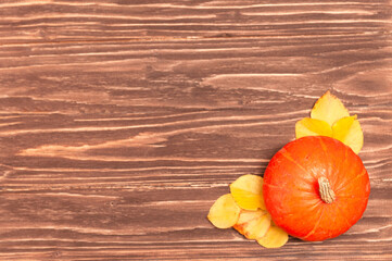 Autumn concept, little organic pumpkin and light brown plaid on wooden table. Place for text