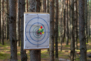 Darts stuck in a target in the woods.