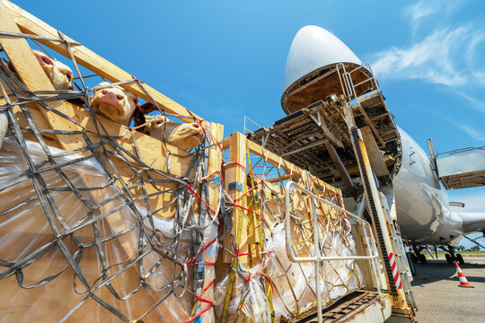 Livestock In Wooden Boxes Secured By Nettings Being Offloaded By A High-loader From A Jumbo Jet With A Wide Open Cargo Door At The Front Of The Plane