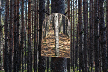 Fototapety na wymiar - Fototapeta24.pl