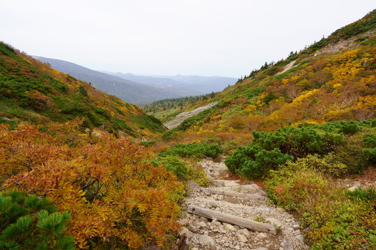 Scenery of Hakkoda Mountains in Japan with beautiful autumn colors
