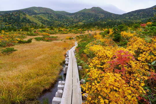 Scenery of Hakkoda Mountains in Japan with beautiful autumn colors
