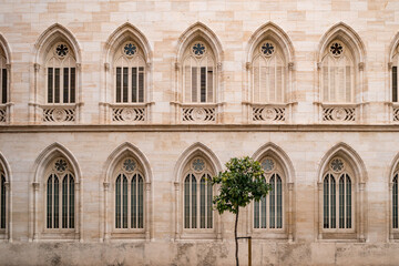 Fototapeta na wymiar Orange tree on the background of gothic-style facade