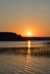 Sunset on the lake. Orange glow, wavy water and water plants. 