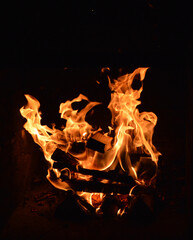 Campfire in the dark. Flames, burning firewoods and glowing coals 