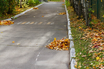 Yellow fallen autumn leaves are swept away in heaps and lie along the sidewalk. Autumn time in the...