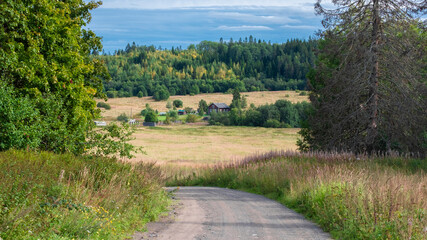 Fototapeta na wymiar A dirt road among fields and forests leads to a village with wooden houses in autumn Karelia