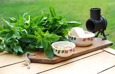preparing pesto with fresh basil