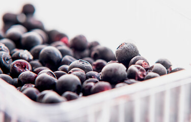 frozen blueberry macro shot on white