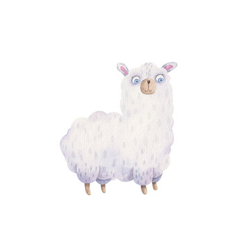 cute llama, alpaca with blue eyes children watercolor illustration, kids design, sticker printing