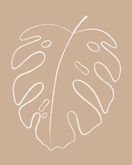 monstera leaf minimalist line art illustration