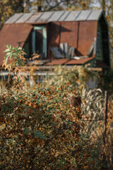 old house in autumn