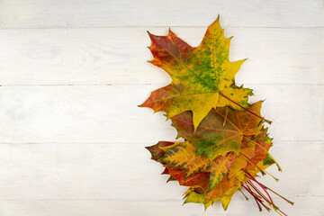 Naklejka na ściany i meble Autumn bouquet of dry maple leaves on wooden background.