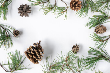 Fototapeta na wymiar Pine branches and cones on a white background