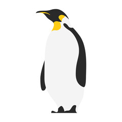 little cute penguin bird character