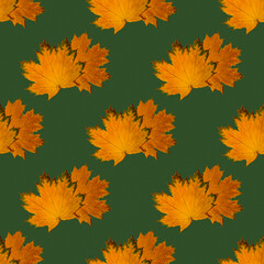 Obraz premium Seamless pattern of dry autumn maple leaves on a green background. Autumn print on fabric, wrapping paper