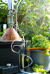 homemade moonshine winemaking; white grape and moonshine still for home brandy production