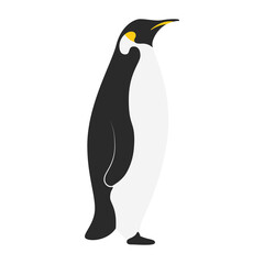 little cute penguin bird character