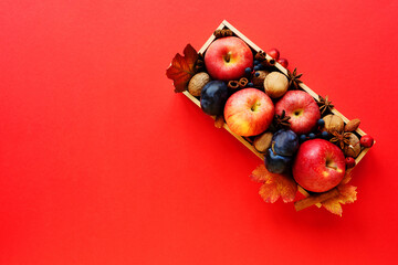 
composition of autumn fruits and spices in a wooden box on a red background. Copy space