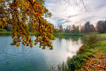 Autumn foliage in Pavlovsky park at sunset, Pavlovsk, Saint Petersburg, Russia