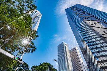 新宿のビル群と青空と木