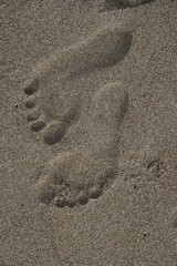 footprint in sand