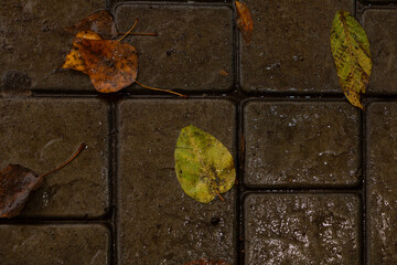 Wet and dirty paving slabs on an autumn evening.