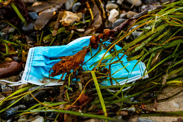 Used face mask from the corona virus pandemic, washed ashore as garbage on a beach.