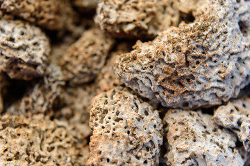 Closeup to a lot of Termite nest