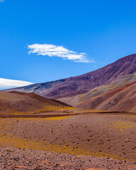 Arid Landscape Brava Lagoon Reserve La Rioja, Argentina