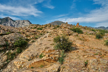 steep rocky mountainside with shrubs and views of the mountain range