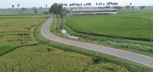landscape with road in the countryside