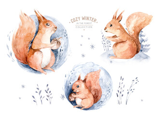 Watercolor winter forest animals squirrel isolated on white background. Wild forest squirrel animals set. Hand painted winter christmas card