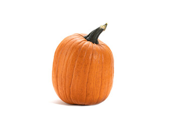 One big orange pumpkin isolated on white background