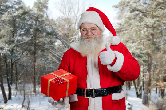Santa Claus with present box outdoors. Authentic Santa Claus holding red gift box and giving thumb up on winter nature background. Santa carrying gifts to children.