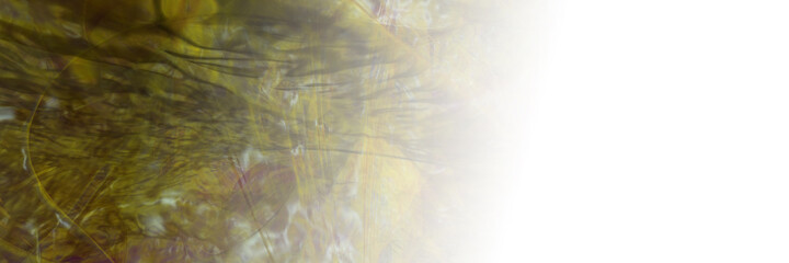 Abstract illustration © neurostructure