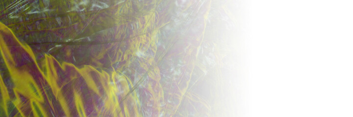 abstract background © neurostructure