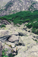 Stones in the mountainous area.