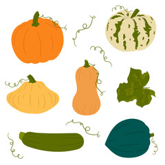 A collection of pumpkins. Vector hand-drawn illustration. Elements for autumn design, halloween, thanksgiving.