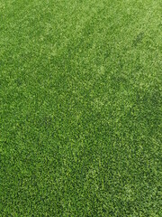 Obraz premium green grass texture