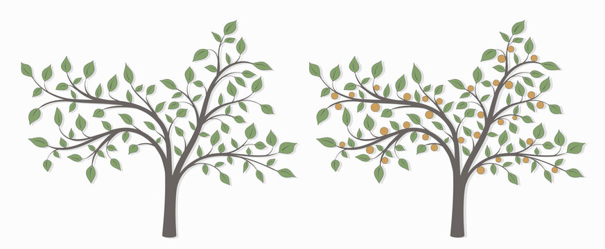 Drawing of a tree with green leaves and red fruit in two versions on a white background