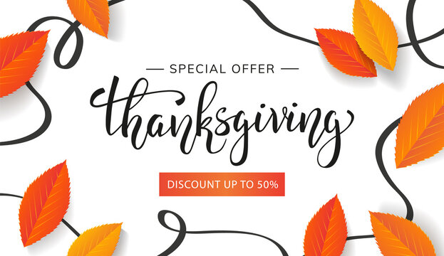 Thanksgiving day special offer banner design with beautiful lettering abstract lines and leaves on white background. - Vector