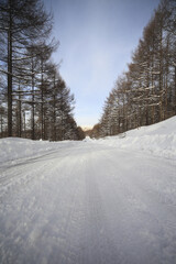 車山高原の雪道