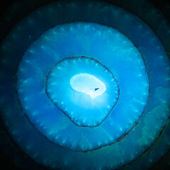 unreal world of vegetables, ultraviolet light, background, onion rings