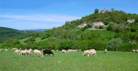 aveyron